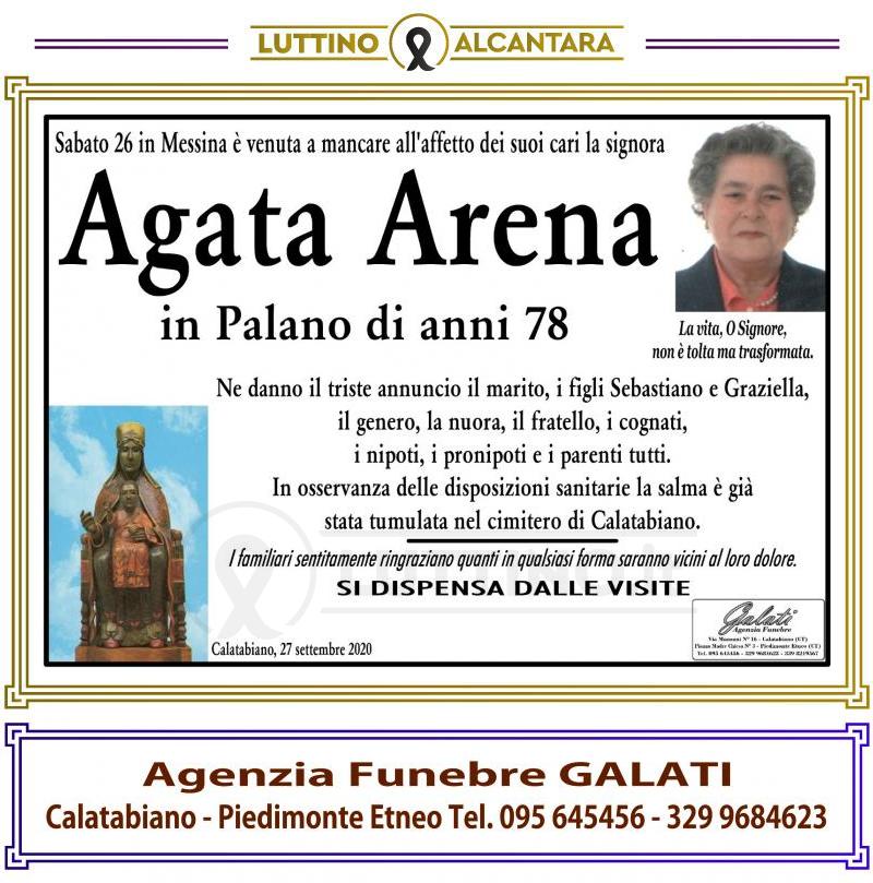 Agata  Arena 